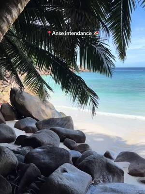 A post by @bellkisss on TikTok caption: #plage #ile #foryou #paradis #pourtoi 