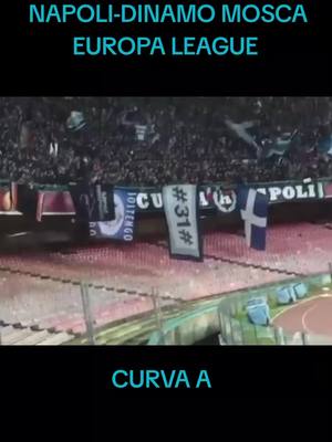 A post by @partenopei_dal_1926 on TikTok caption: 🇪🇪🩵⚔️ #curvaanapoli💙🙌🏻👑 #ultrasnapoli🇪🇪 #fypシ゚viral 