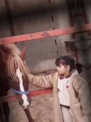 A post by @sa_lem31 on TikTok caption: #خيل_وخياله🐎 #حصان #فرس #اكسبلور #فرس #اكسبلور #القصيم #بريده #السعودية #حايل #شيله #خيول_عربية_اصيلة #ترند #تك #تك 