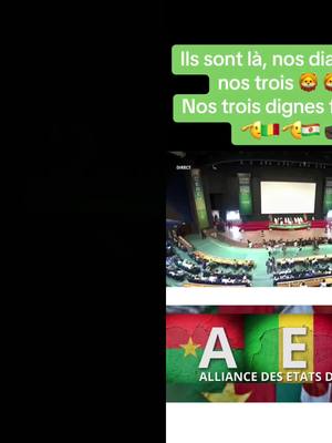 A post by @samba3895 on TikTok caption: #duet with @Adamsbatleur🇲🇱🇳🇪🇧🇫 #niger 