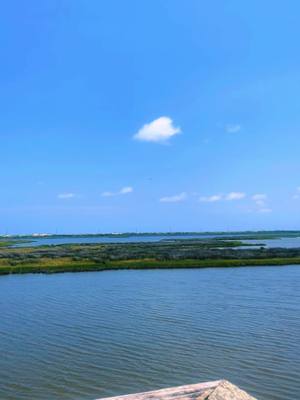 A post by @kourtneyystarr on TikTok caption: Outer Banks, NC #outerbanks #OBX #northcarolina #beachlife #travel #vacation #beachvibes #explore #obxlife #coastallife #Summer #beachdays #nature #seasunsand 