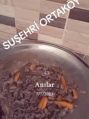 A post by @alev345860 on TikTok caption: #anılar 