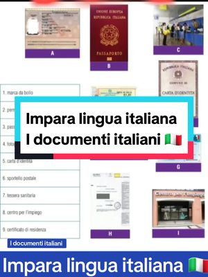 A post by @abueline88 on TikTok caption: #CapCut Impara lingua italiana 🇮🇹 تعلم اللغة الإيطالية  I documenti italiani  #italiano #imparacontiktok #linguaitaliana #chinese #education #learning #tiktok 