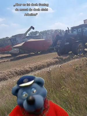 A post by @bastian_landwirtschaft on TikTok caption: jeden Sonntag 🤝 #sontagarbeit #landwirtschaft #class #Dreschen #Case #Ernte #fy 