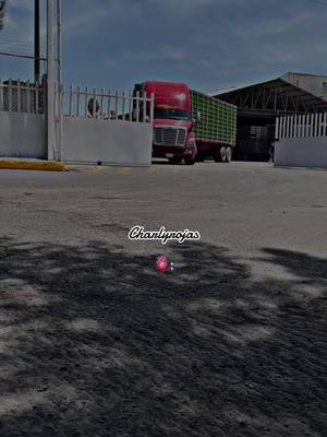 A post by @charlyrojas0308 on TikTok caption: Regresamos al contenido 🥰 #fyp #viral #transportesrojas🐔 #trailerosmexicanos🇲🇽💯😎 #trailerosdecorazon #capcut #sigueme #parati 