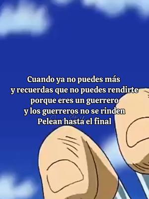 A post by @juanstallione on TikTok caption: Nunca te rindas porque eres un guerrero  y los guerreros no se rinden pelean hasta el final #Seiya #seiyanoterindas #Motivacion #Motivacional #Noterindas #caballerosdelzodiacoseiya 