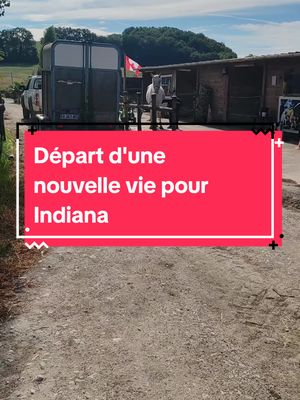 A post by @refuge.cheval.nature.47 on TikTok caption: Une belle et nouvelle vie pour Indiana. Rdv demain pour le 1er live du mois . #protectionanimale #horse #nouvellevie #adoption #amour #miracle 