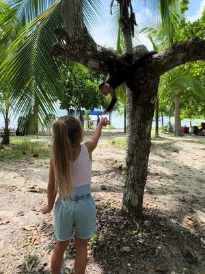 A post by @thomasgirlss on TikTok caption: Another country, another experience💛 #fyp #foryoupage #travel #costarica #MomsofTikTok #travelwithkids