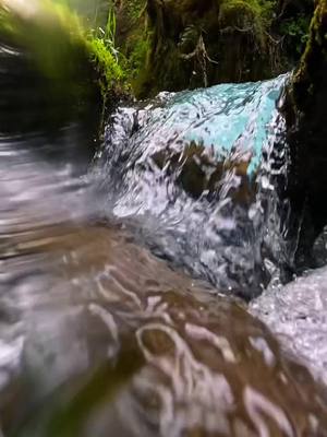 A post by @johnderting on TikTok caption: Beautiful and so clear 😍! Love these alaska rivers 