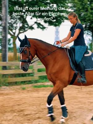 A post by @resathenga_ on TikTok caption: Finde wo optimal für mich wäre heutzutage 5-8 jahre #foryou #foryoupageofficiall #fy #foryoupage #horsetok #horsesontiktok #horses #horse #horsesoftiktok #brown 