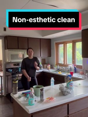 A post by @anna.mattes on TikTok caption: Monday Non-Esthetic Kitchen Reset #CleanTok #kitchen #SAHM #mom #kitchenclean #washdishes #scrubdaddy #stayathomemom #nonesthetic 