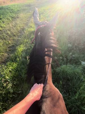 A post by @sarah2712000 on TikTok caption: Le retour de l’été et des balades à cru ☀️#cheval #equitation #chevalpassion #horse #horseriding 