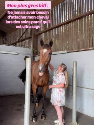 A post by @v_deole on TikTok caption: Le cheval parfait s’appelle Bouquette 🙈