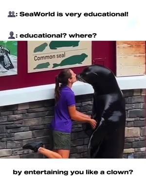 A post by @dolphin_in_freedom on TikTok caption: learn about them by watching documentaries, reading books, or/and maybe going to a whale watch. do it for them.🙏🏼 #emptythetanks #seaworld #sucks #seaworldsandiego #seaworldorlando #freedom #captivitykills #education #educationaltiktok #ironic #exploited #viralvideo #plsdontflop #imshadowbanned #logic 