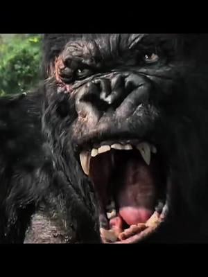 A post by @zackthegigaking on TikTok caption: #kingkong #peterjackson #vrex #fortheglory 