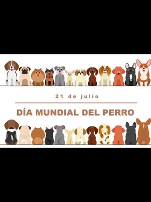 A post by @gatekeeperz21 on TikTok caption: #diainternacionaldelperro #perro #dogs #angeldecuatropatas 