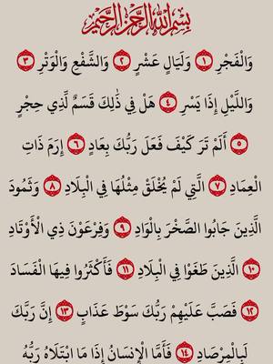 A post by @quran_karim_tilawat_nice on TikTok caption: القرآن الكريم  سورة الفجر علاء عقل  #القرٱن_الكريم #راحة_نفسية #إطمئن 