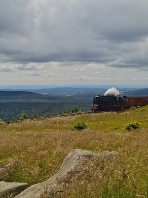 A post by @denis_robert_livesteam on TikTok caption: harz dampflocomotive #schmalspurbahn #harz #hsb #locomotive #steam #steamlocomotive 