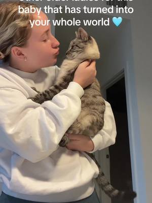 A post by @shelby.vans on TikTok caption: As i was holding him all the ladies were asking me if i was going to adopt him like yes please leave me and my son alone! 🩵 #lynxpointsiamese #siamese #catsoftiktok 