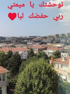 A post by @jamalimostapha240 on TikTok caption: #المغرب🇲🇦تونس🇹🇳الجزائر🇩🇿 #الواليدة_الواليدة_الواليدة💘🧓👵 #tiktok 