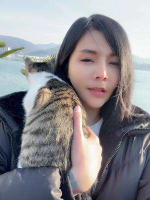 A post by @wannagotonirvana9 on TikTok caption: แทร่าและแม่ของเขา 🐈 #korea #cat #ทาสแมว #travel #คนไทยในเกาหลีใต้🇹🇭🇰🇷 #เทรนด์วันนี้ 