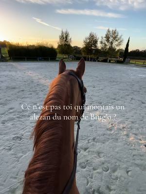 A post by @bingo_du_parc on TikTok caption: Don’t make me sad 🤍 #memories #horse #equestrian #lanadelrey #trend 