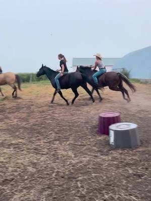 A post by @tenley.marisa on TikTok caption: We are pro tiktokers now @Sanna🐎 @makynleadyck @Kenzie #trainedprofessionals #cowboy #barebackridin #theyrepaidactors 