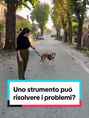 A post by @giorgiaeathos on TikTok caption: Uno strumento non fa miracoli!