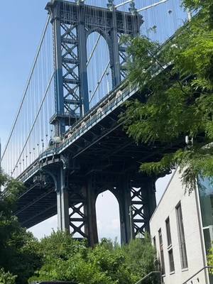 A post by @shotwithmv on TikTok caption: Jungle dreams 🗽✨  #nyc #ny #newyork #newyorkcity #concretejungle #fyp #daytrip #brooklyn #dumbo #dayinmylife 