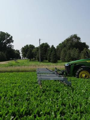 A post by @samualsullivan2 on TikTok caption: Lil weed zapper action #farming #sullivanfamilyfarms #fyp #sugarbeets #sugar #weedzapper 