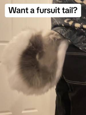 A post by @scaredycatstudios on TikTok caption: Check out my store where i se11 fursuit parts, supplies, upkeep and apparel! #fursuitforsale #finishedfursuit #furry #furries #furryfandom #fursuitn #fursuiting #fursuiter #fursuiters #fursuits #fursuitmaker #fursuitmaking #wip #fursuitwip #fursuitprogress #fursuithelp #fursuittut #fursuittutorial #fursuitmakinghelp #tutorial #tut #fyp #furyou #foryou #typ #funny #relatable #joke #meme #furrymeme #viral #trend #furrytrend