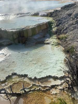 A post by @jacoreyfisher3 on TikTok caption: #nature #yellowstonenationalpark 