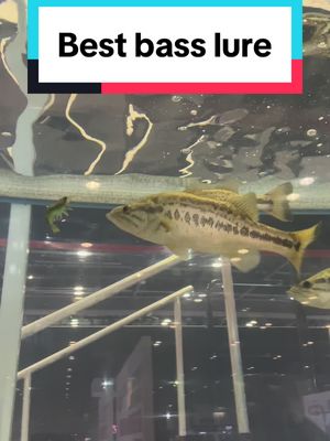 A post by @thereeljex on TikTok caption: Haters will say it is fake 🤷 #fishing #megashrimp #fishinglure #shrimplure 