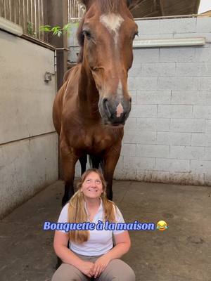 A post by @v_deole on TikTok caption: 2 salles - 2 ambiances ptdr #horse #cheval #humour 