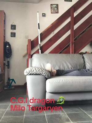 A post by @samwoods6968 on TikTok caption: #breadbins #butidonteatgreeneggsandham #got #houseofthedragon 