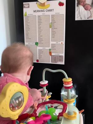 A post by @harriets_crazy_life on TikTok caption: Keeping track on our weaning journey 🥰 #weaningbaby #recommendationsforyou 