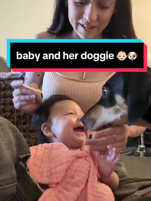 A post by @notmyughh on TikTok caption: omg is it just me or does it look like she tries to pet him?! #CapCut #firsttimemom #babiesoftiktok #dog 