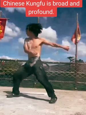 A post by @diaoyu97 on TikTok caption: #shaolinkungfu #Tiktok #fyp #foryou #Outdoors #tiktok #kungfu #jeetkunedo #UFC #brucelee #selfdefense #selfdefenseforwomen 