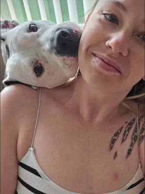 A post by @ashyxkay on TikTok caption: #CapCut our sweet Dottie girl #pitbulllove #sweetpuppy 