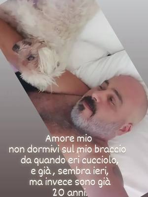 A post by @fcesco80 on TikTok caption: LA PUREZZA DI UN AMORE INCONDIZIONATO...  ❤️TI AMO ULISSE❤️ #amiciziavera #amici @CESCO @franz&alf @Pietro 🇮🇹 🐻🏳️‍🌈🤟 @👠 Zero70👠🏳️‍🌈 @futtitinni .e basta @Francy Espo🙈🙉🙊 @FedeDiSaba 