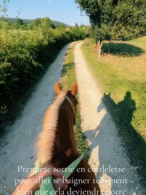 A post by @alexiaboutineau on TikTok caption: 1ere sortie en cordelette 🩷☀️@Noémie Lutier 🤍 #fyp #pourtoi #chevaux #amour #cheval #foryou #copine #cordelette #baignade #riviere 