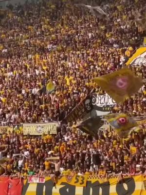 A post by @clear_dynamo on TikTok caption: Eines der geilsten Spiele wo ich je war😍🖤💛 #dynamo #dresden #clear_dynamo #neinzurb #foryou #fyp 