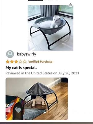 A post by @anna.kovalsky on TikTok caption: Think different be special cat #funnycat #fatcat #kitten #amazonfinds #humor #review 