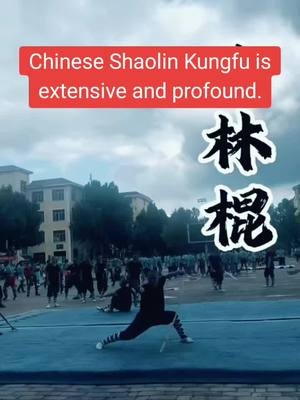 A post by @diaoyu97 on TikTok caption: #shaolinkungfu #Tiktok #selfdefenseforwomen #selfdefense #brucelee #UFC #jeetkunedo #kungfu #fyp #wingchun #foryou #Outdoors #shaolinkungfu 