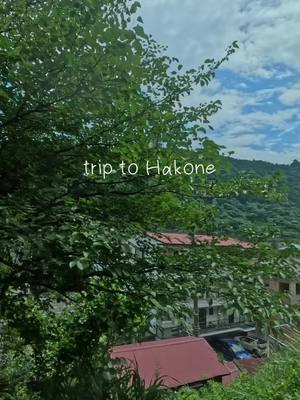 A post by @shotaisoda19 on TikTok caption: hakone trip #tokyo #fyp