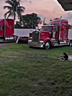 A post by @charlyrojas0308 on TikTok caption: 🙏🏽🐓 #fyp #viral #transportesrojas🐔 #trailerosmexicanos🇲🇽💯😎 #trailerosdecorazon #capcut 