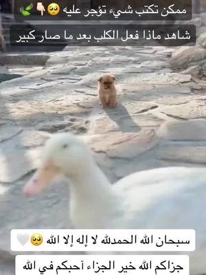 A post by @amamaa385 on TikTok caption: #سبحان_الله_وبحمده_سبحان_الله_العظيم #ربي_اشرح_لي_صدرى_ويسر_لي_أمري 