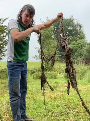 A post by @cormac_cassidy on TikTok caption: SLURRY SALAMANDER #fyp 