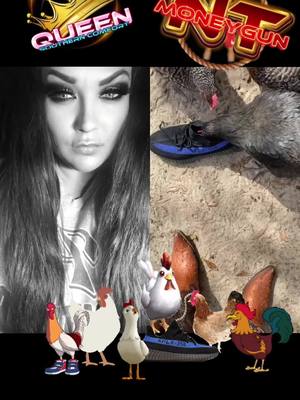 A post by @i.am.the.southern.queen on TikTok caption: #duet with @NTMONEYGUN #chickens LAWDDD HAMMERCY!