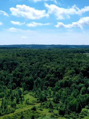 A post by @rrhallock on TikTok caption: Weve been having a blast at the farm this summer. #wny #drone #astrophotography #fypage #foryou #outside #Summer 